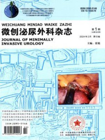 微创泌尿外科杂志